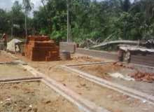 Pic_0203_247