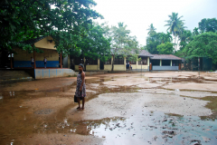 SRI LANKA-11