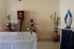 SRI LANKA-15
